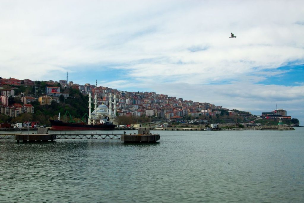 Black Sea Attacks: Potential Local Economic Impact