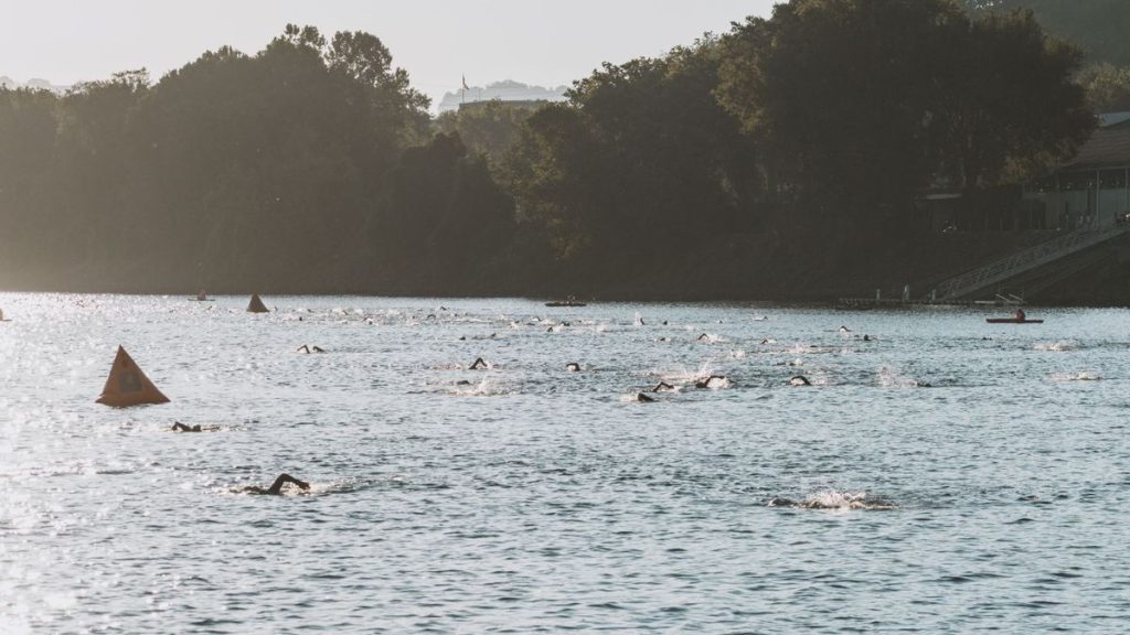 Flanders to Grant Right to Open-Water Swimming by 2027