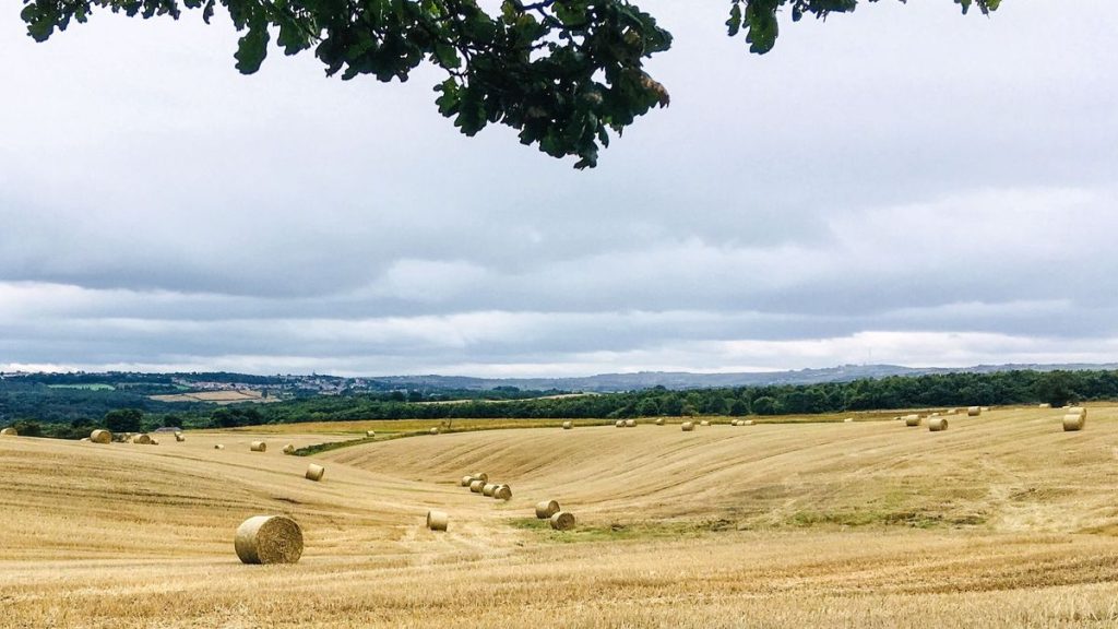 Oxfordshire Heatwave Warning: Drought Fears Persist