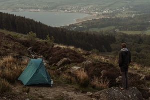Channel 5 Revives Play for Today with New Episode 'Wild'